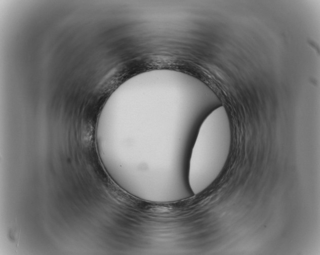 X0000091590507200708200955