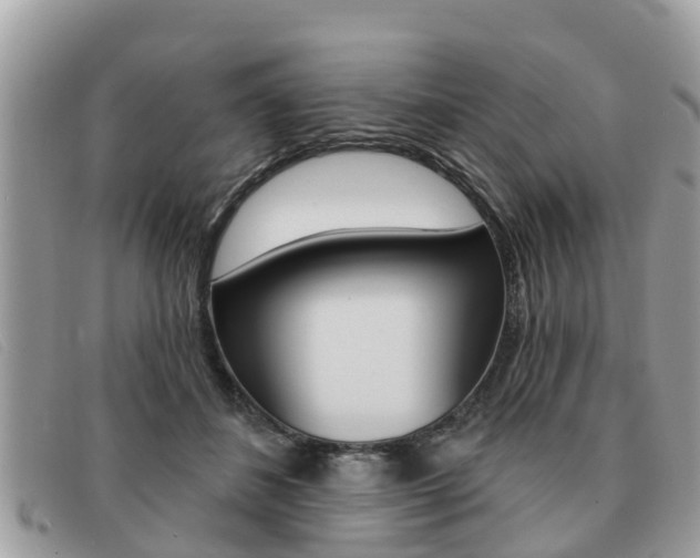 X0000091590508200708200955