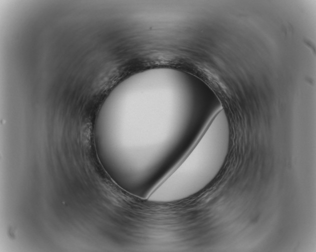 X0000091590509200708200955