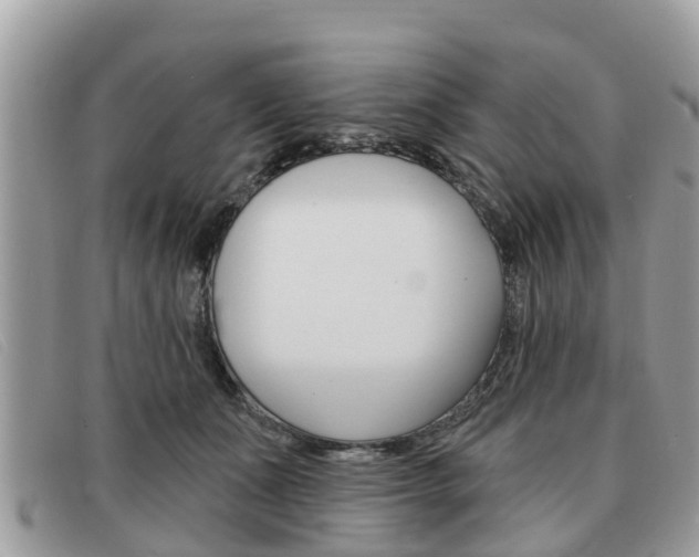 X0000091590511200708200955