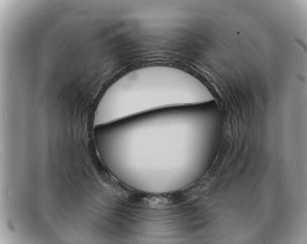 X0000091590512200708200955