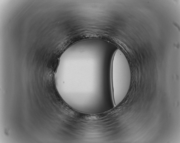 X0000091590513200708200955