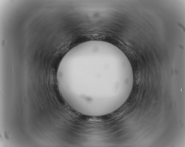 X0000091590515200708200955