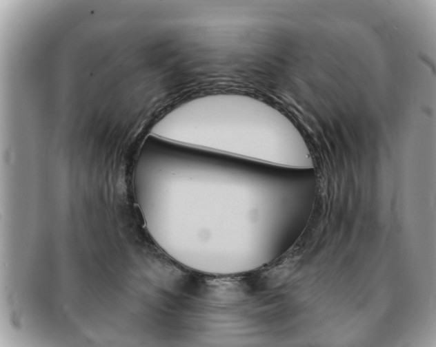 X0000091590516200708200955