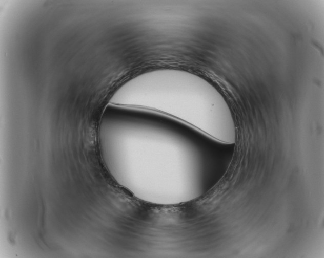X0000091590517200708200955