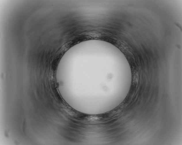 X0000091590518200708200955