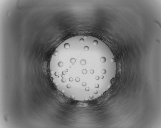 X0000091590519200708200955