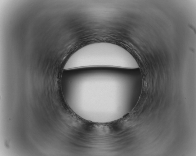 X0000091590520200708200955