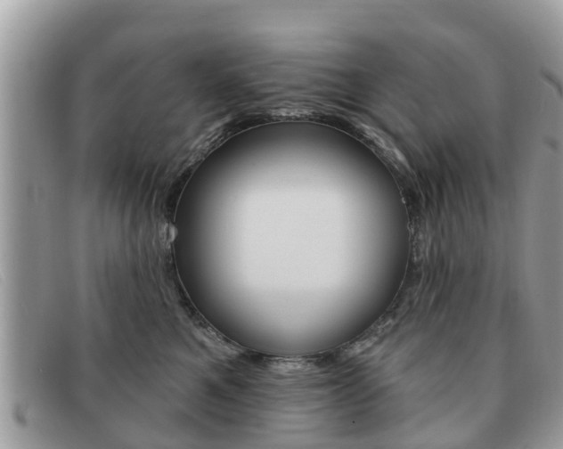 X0000091590521200708200955