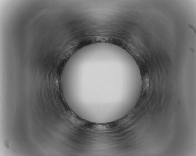 X0000091590522200708200955