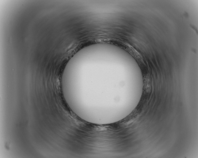 X0000091590523200708200955