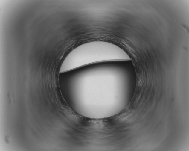 X0000091590524200708200955