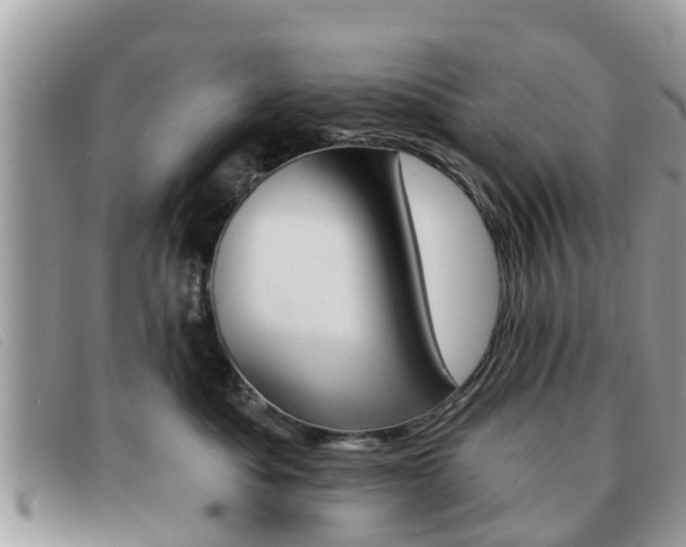 X0000091590525200708200955