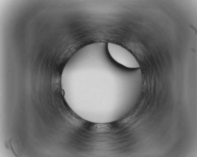 X0000091590526200708200955