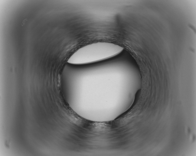 X0000091590528200708200955