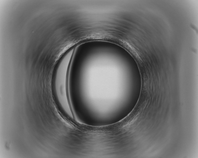 X0000091590530200708200954