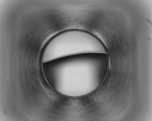 X0000091590531200708200954