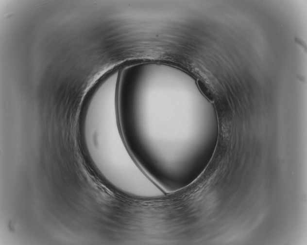 X0000091590532200708200954