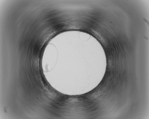 X0000091590534200708200954