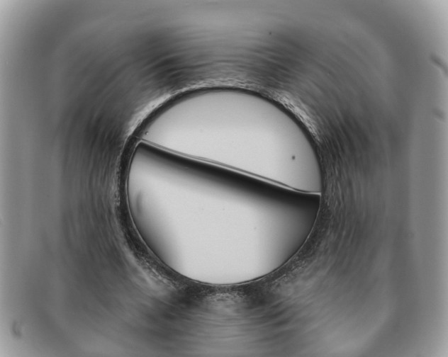 X0000091590536200708200954