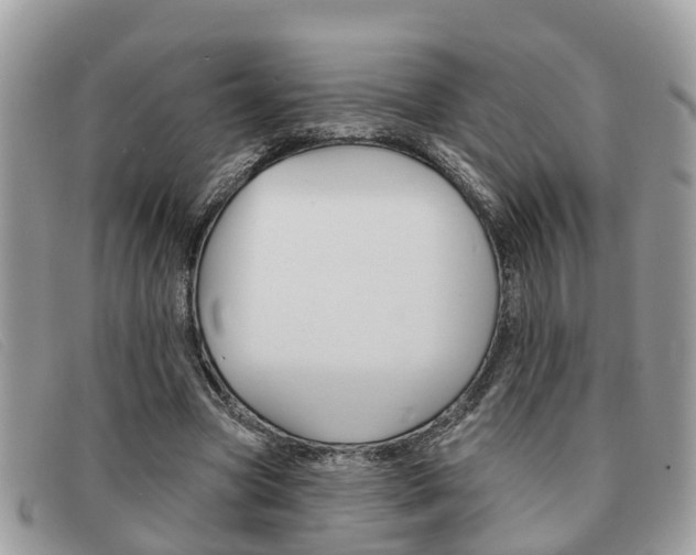 X0000091590537200708200954