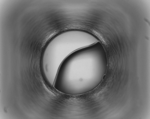 X0000091590538200708200954