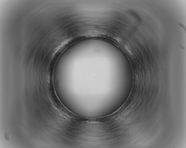 X0000091590539200708200954