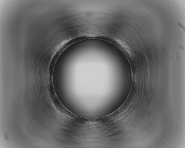 X0000091590540200708200954