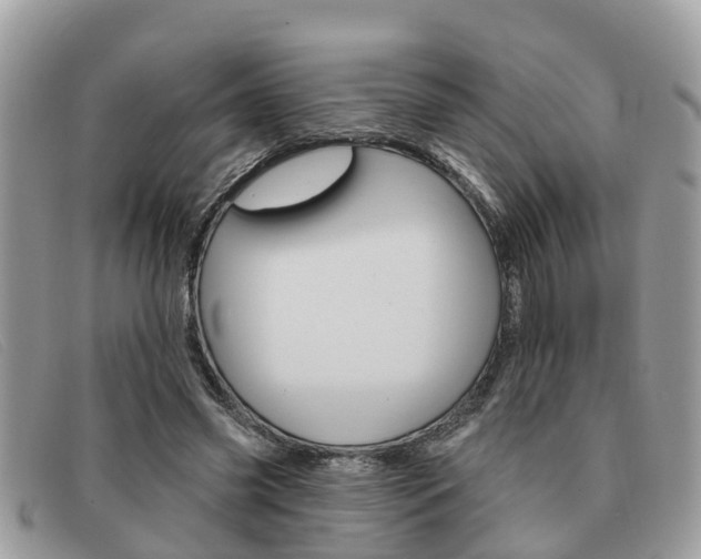 X0000091590541200708200954