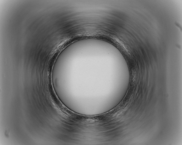 X0000091590542200708200954