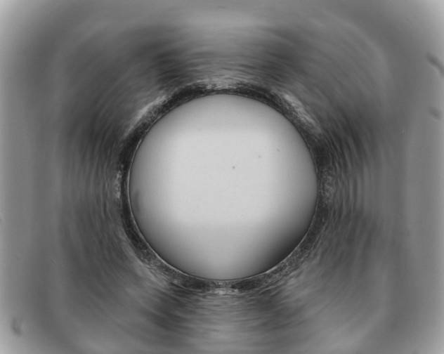 X0000091590543200708200954
