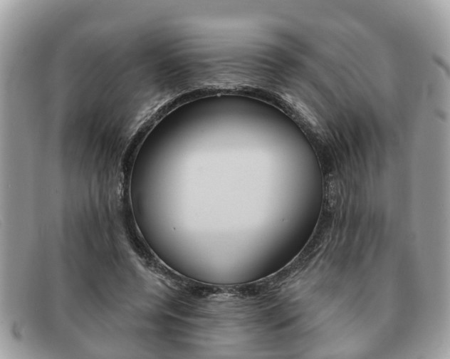 X0000091590544200708200954