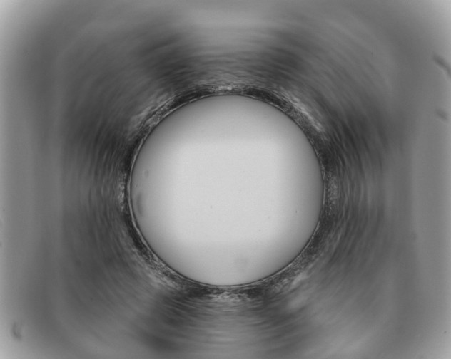 X0000091590545200708200954