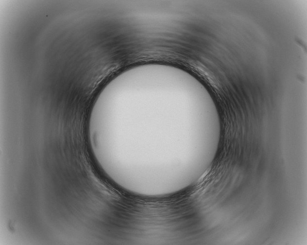 X0000091590546200708200954
