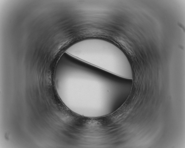 X0000091590547200708200954