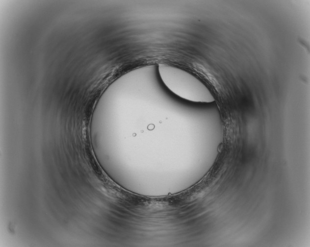 X0000091590549200708200954