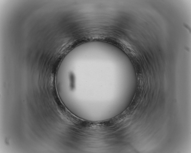 X0000091590550200708200954