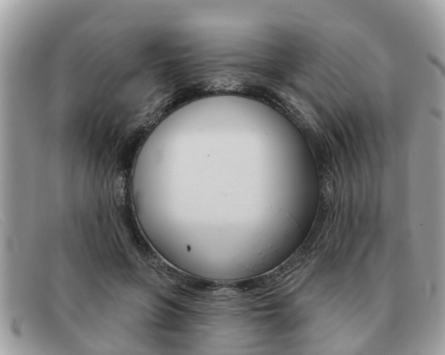 X0000091590551200708200954