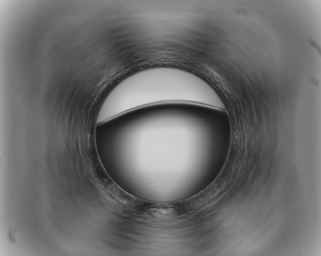 X0000091590552200708200954