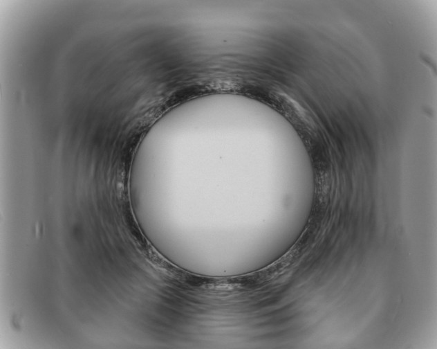 X0000091590553200708200954