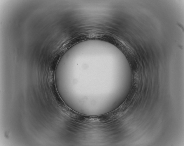 X0000091590554200708200954
