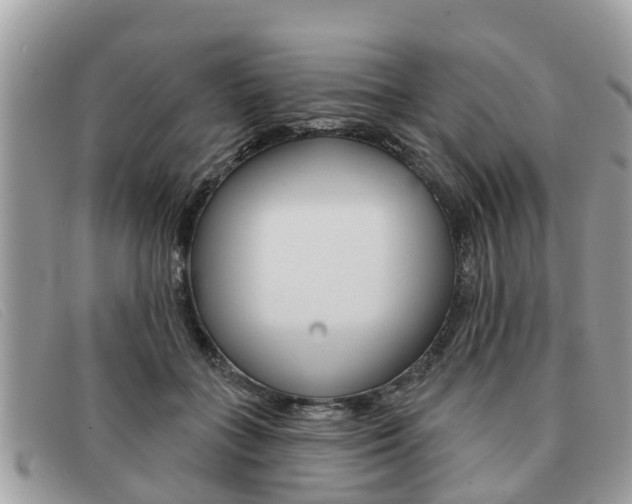 X0000091590555200708200954