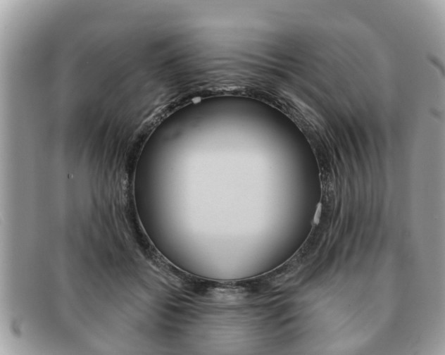 X0000091590556200708200954