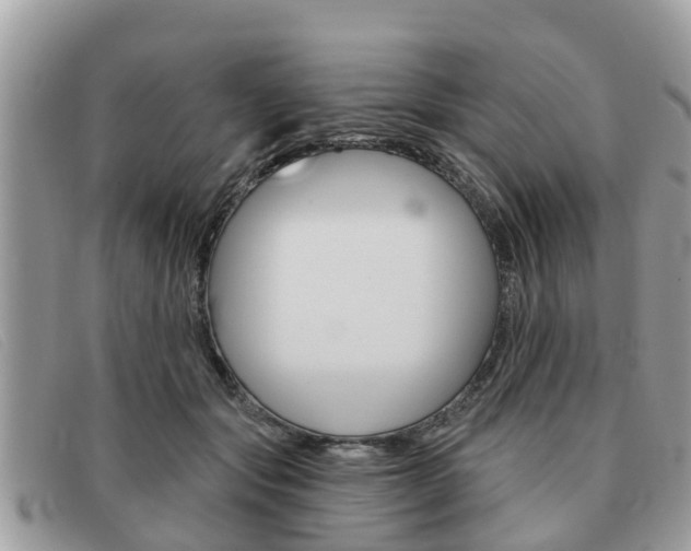 X0000091590557200708200954