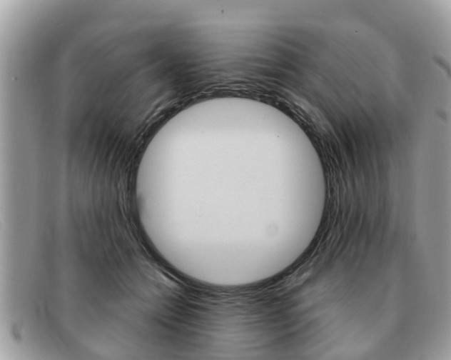 X0000091590558200708200954