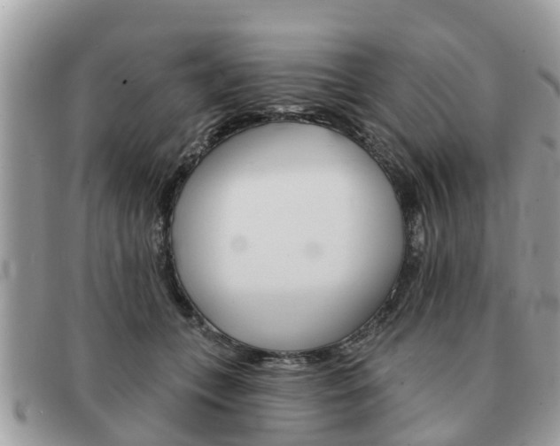 X0000091590559200708200954