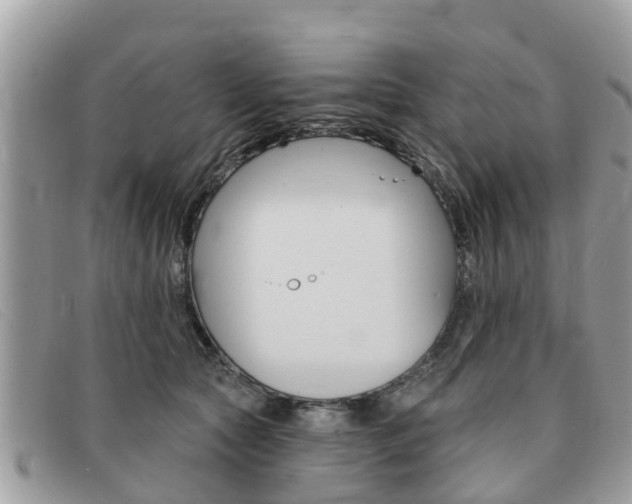X0000091590561200708200954