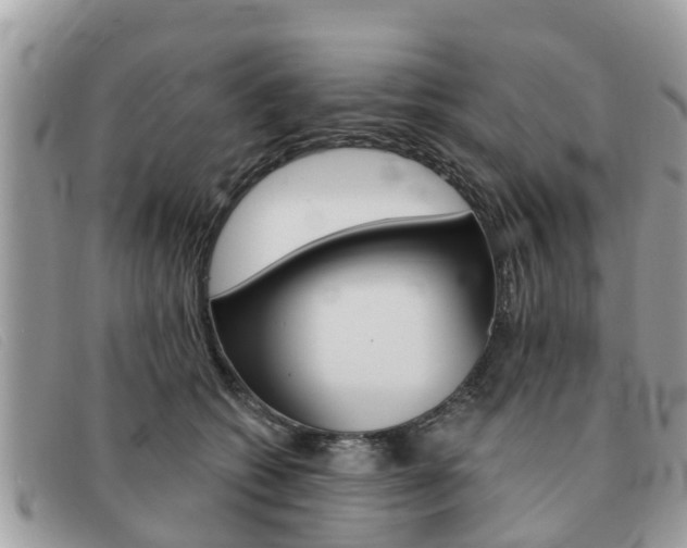 X0000091590562200708200954
