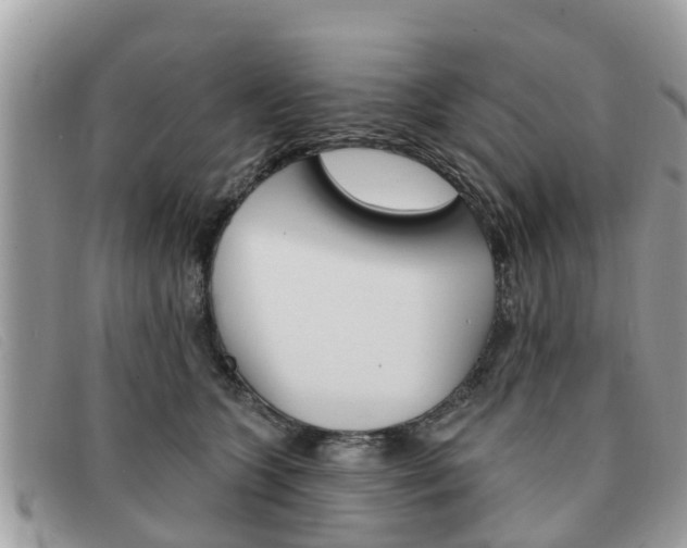 X0000091590563200708200954