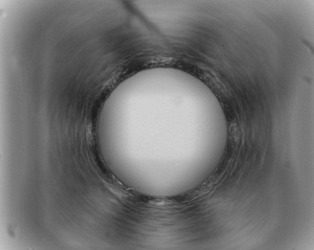 X0000091590564200708200954